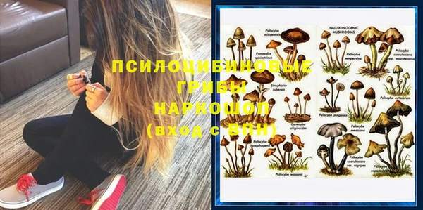 СК Балахна