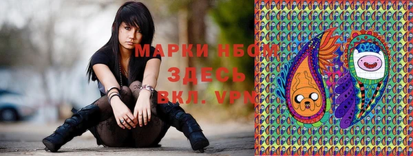 СК Балахна
