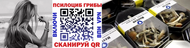 Псилоцибиновые грибы мицелий  Фатеж 